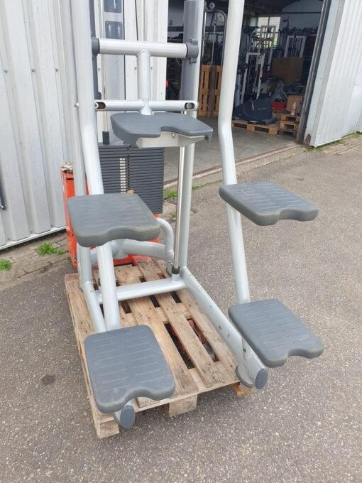 Technogym Assisted Chin/dip