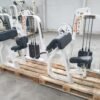 Icarian biceps & Triceps