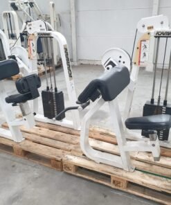 Icarian biceps & Triceps