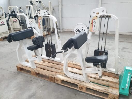 Icarian biceps & Triceps