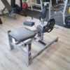 Hammer-strength Sitting calf