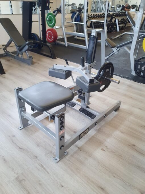 Hammer-strength Sitting calf