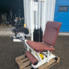 Technogym Leg Extension