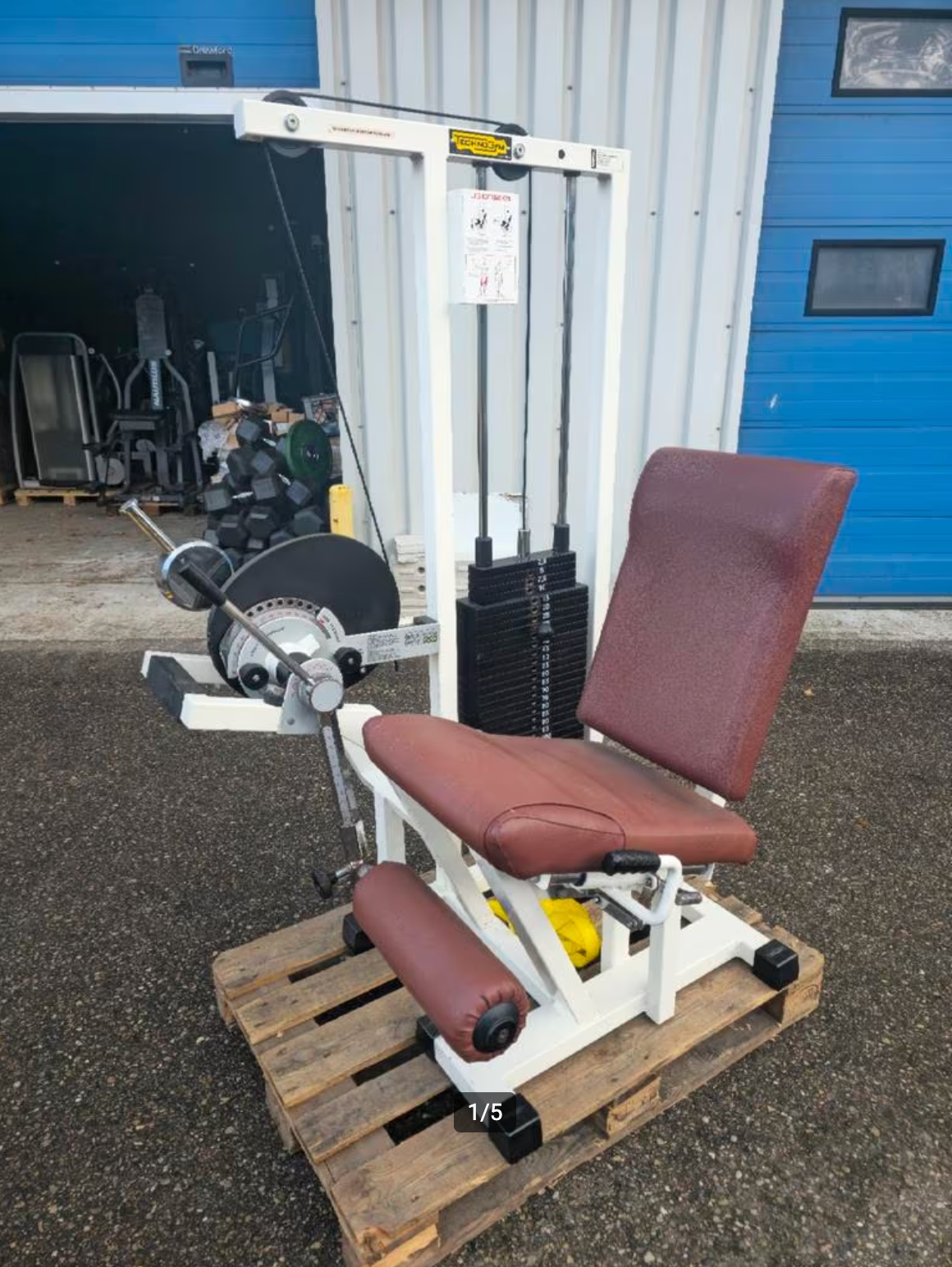 Technogym Leg Extension